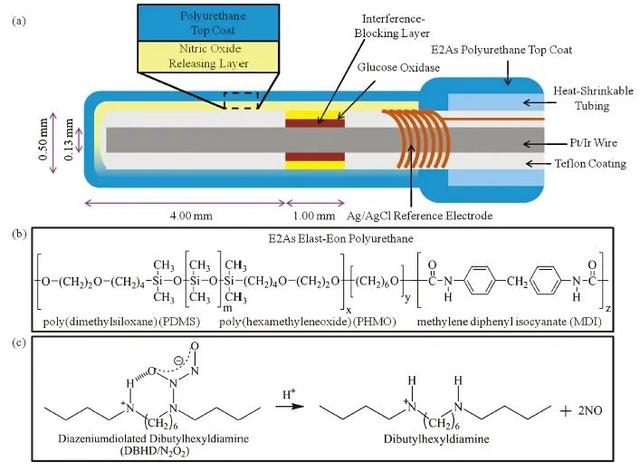 Elast-Eon用于静脉安培葡萄糖传感器的一氧化氮 (NO) 释放涂层