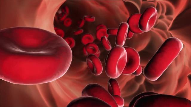 研究发现，红细胞在我们的免疫系统中发挥了关键作用