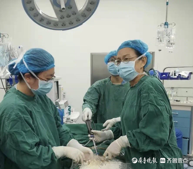 直径30厘米！淄博市妇幼保健院完成一例罕见子宫巨大囊肿手术