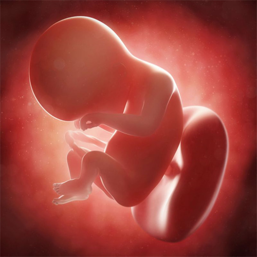 子宫内膜薄能做三代试管吗 调理子宫内膜的方法有哪些