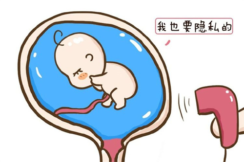 卵巢早衰的女性能做试管助孕吗 卵巢功能差能不能做试管