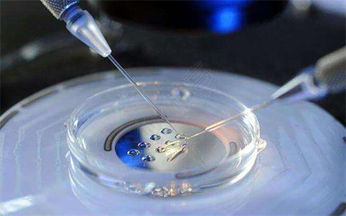 试管胚胎等级怎么区分好坏呢？试管胚胎划分的标准