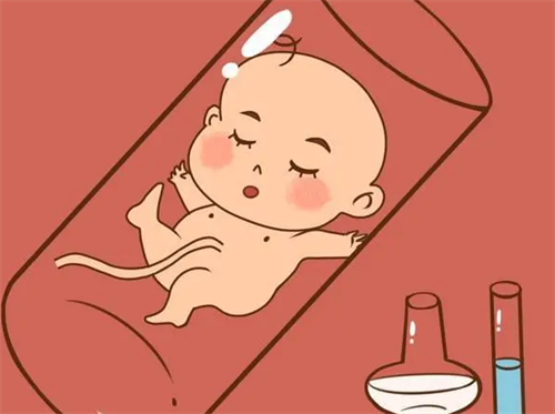 做泰国试管婴儿全程要多长时间？试管婴儿的收费情况是怎样的