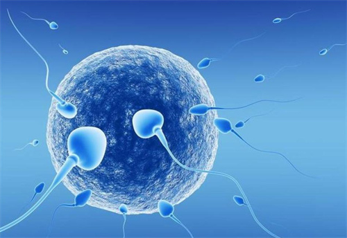 ivf试管指的是第几代？试管婴儿技术能避免染色体问题出现吗