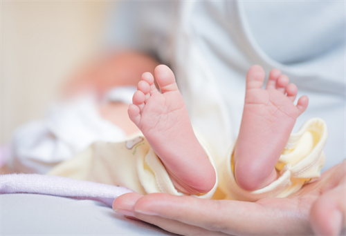 试管婴儿技术有风险吗 为什么三代试管不建议做双胎?
