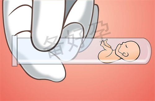 试管胚胎移植后要天天卧床休息吗？试管移植后的注意事项