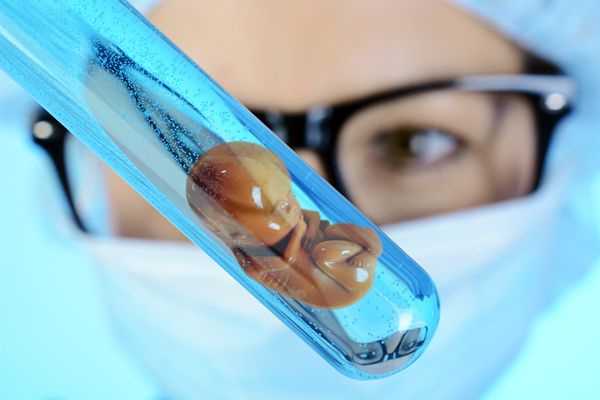 做试管剩余的胚胎怎么处理？新余有做试管的医院吗