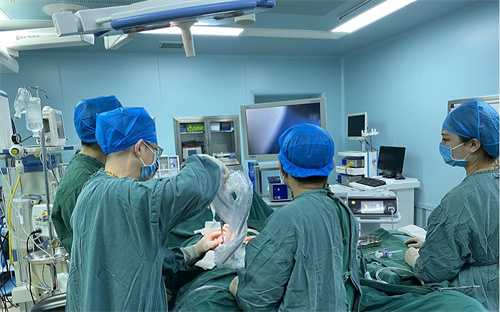 深圳做试管成功率最高的医院是哪家 深圳最新试管婴儿医院排名