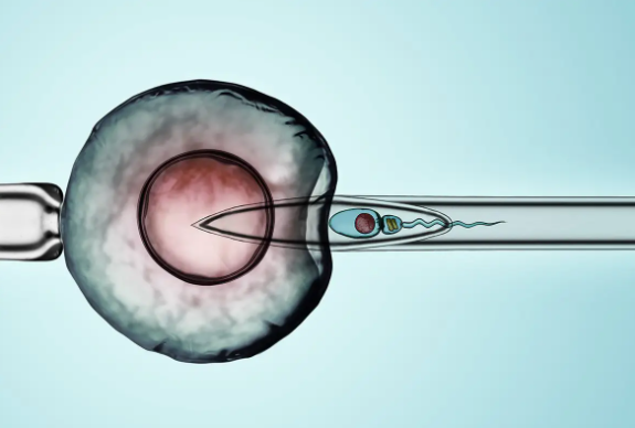 试管移植后胚胎发育慢还有希望吗 胚胎发育慢会不会导致胎停？
