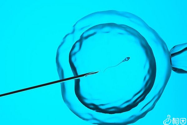 揭秘香港₵试管全流程，一次提供多少个胚胎因人而异